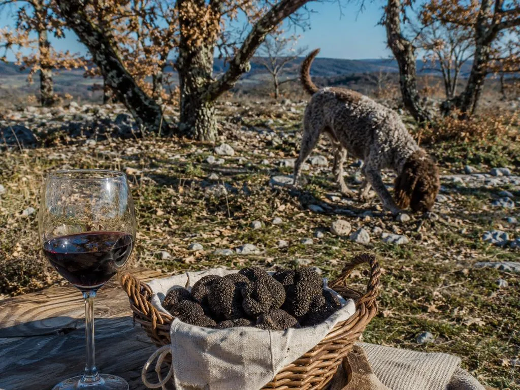 Ch&acirc;teau Pech de Jammes&nbsp;: cavage de truffes & d&eacute;gustation de Malbec